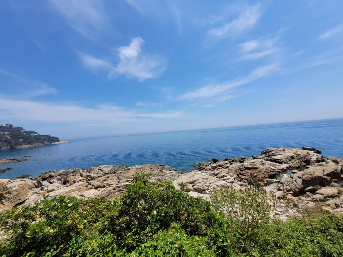 Playa Canadell Mar P Primera Linea De Mar Con Terraza Calella De Palafrugell Dış mekan fotoğraf